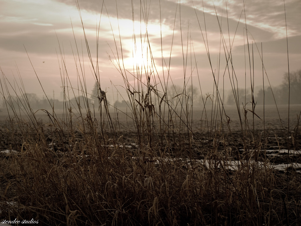 Sunrise Riverbank Dr. Between Kitchener and Cambridge, Ont… Flickr