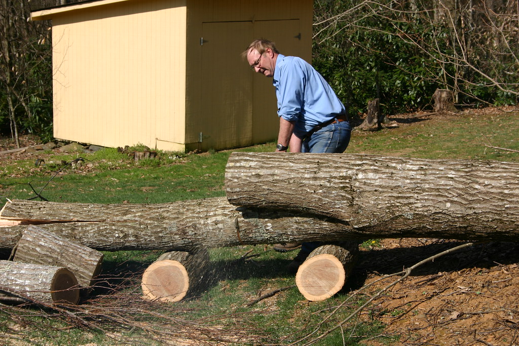 Wayne, the neighbor, cutting dangerous trees near my house… Flickr