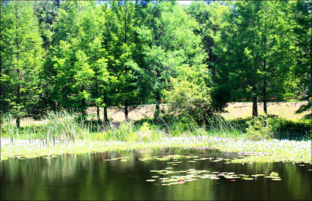 Wadsworth park nmrz Flickr