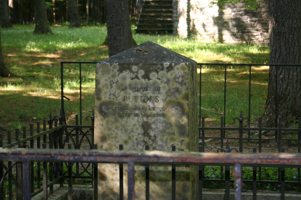 Faithful "Buttons" The great sportsman F. Ambrose Clark,… Flickr