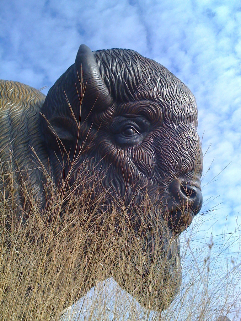 Bronze Buffalo Statue A bronze buffalo statue stands outsi… Flickr