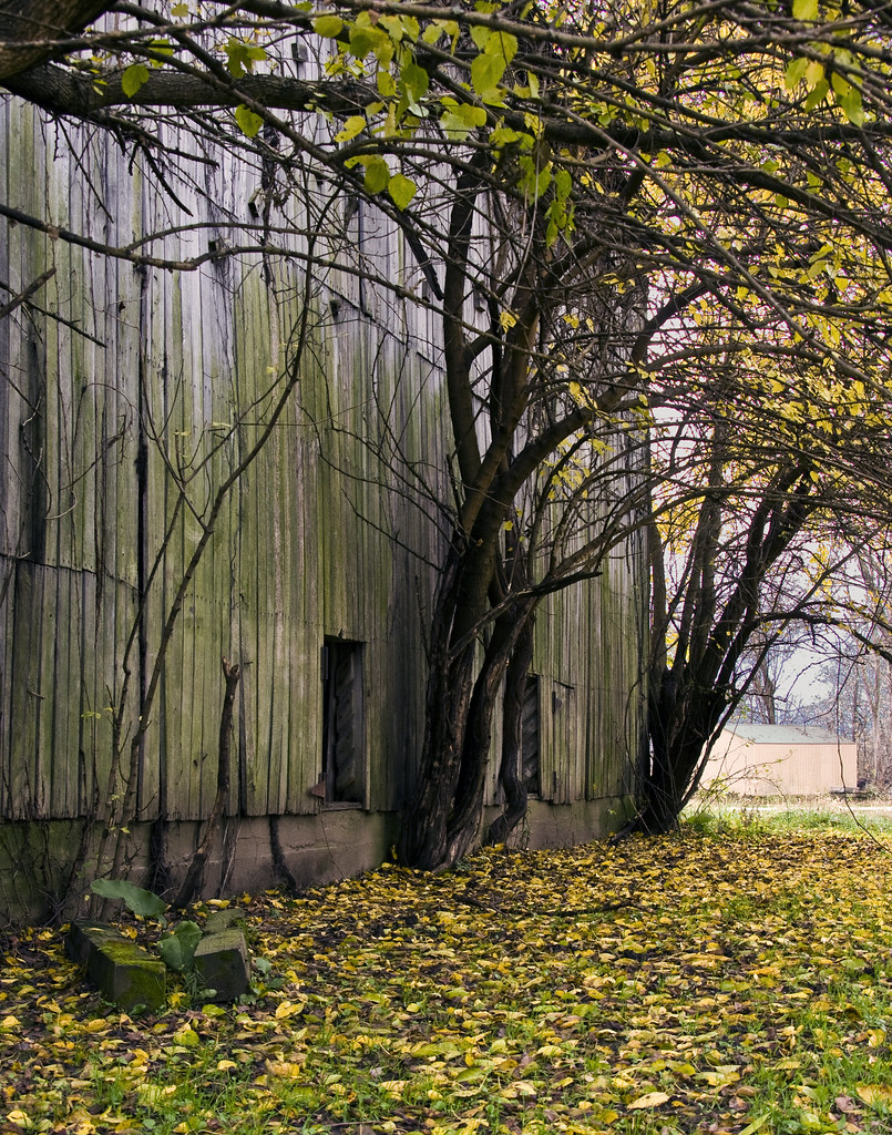 Bradford Woods_09 10 31_0033 Dave Wensits Flickr