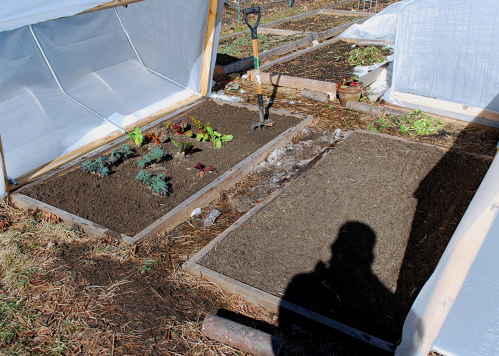 cleaned up beds A Growing Tradition Blog Flickr