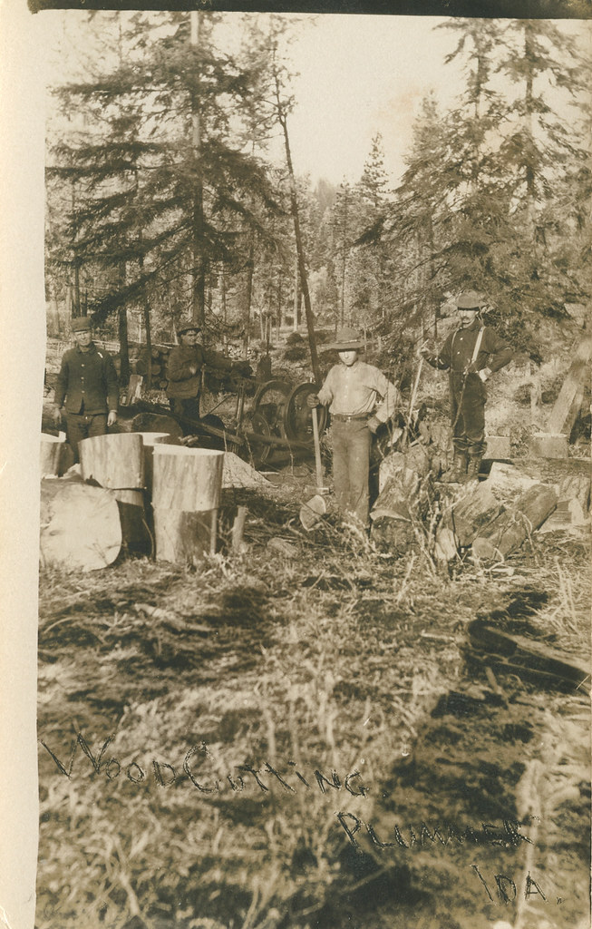 Wood Cutting, 1914 Plummer Idaho WOOD Cutting PLUMMER ID… Flickr