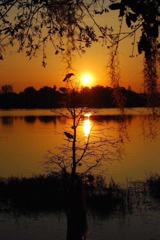 Sunset Over Lake Ivanhoe dragonfyre_13 Flickr