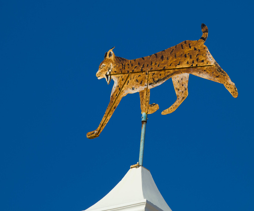 Iberian Lynx Weather Vane Unfortunately, the only Lynx we … Flickr