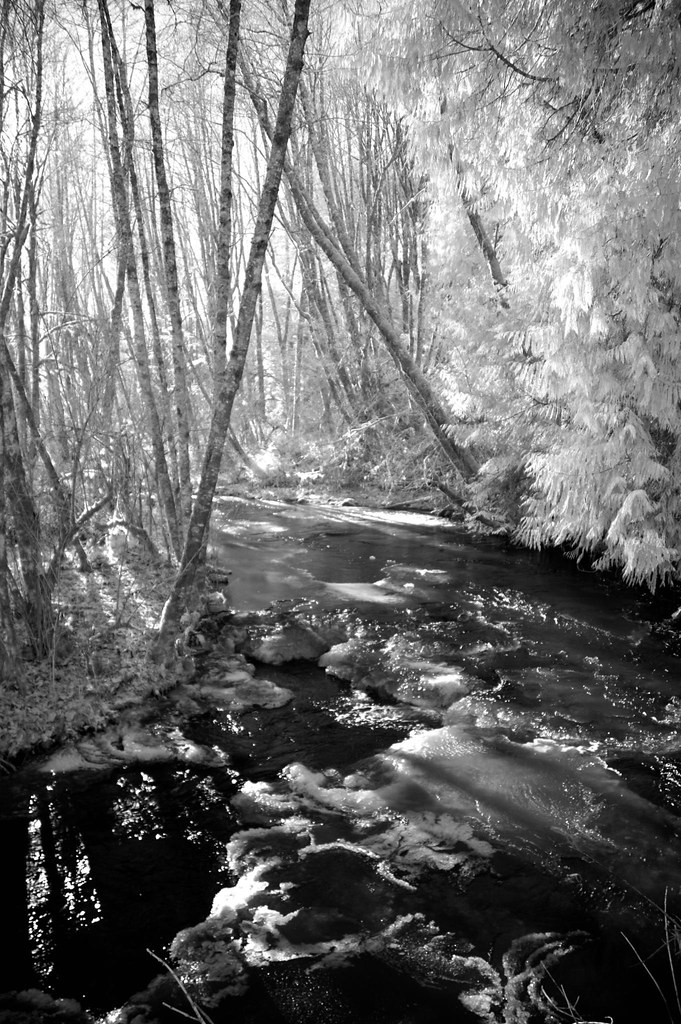 121009 427 Beaver Creek, Rainier Oregon Chris Updegrave Flickr