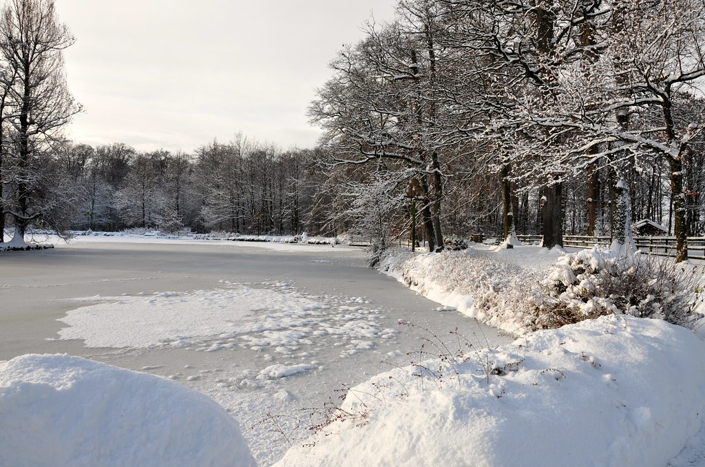 Lac gelé et neige Le lac de Sauvabelin gelé et la neige de… Flickr