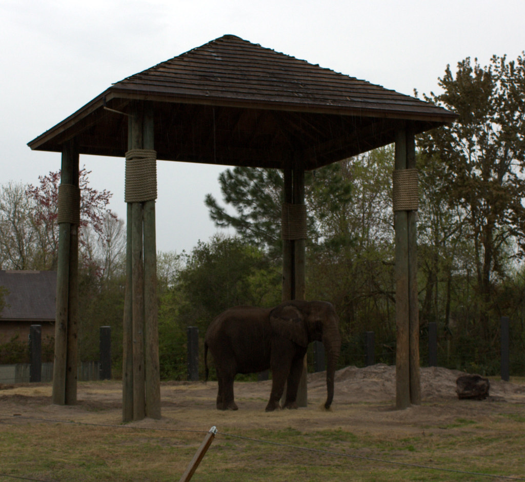 Elephant shelter Elephant shelter LaggedOnUser Flickr