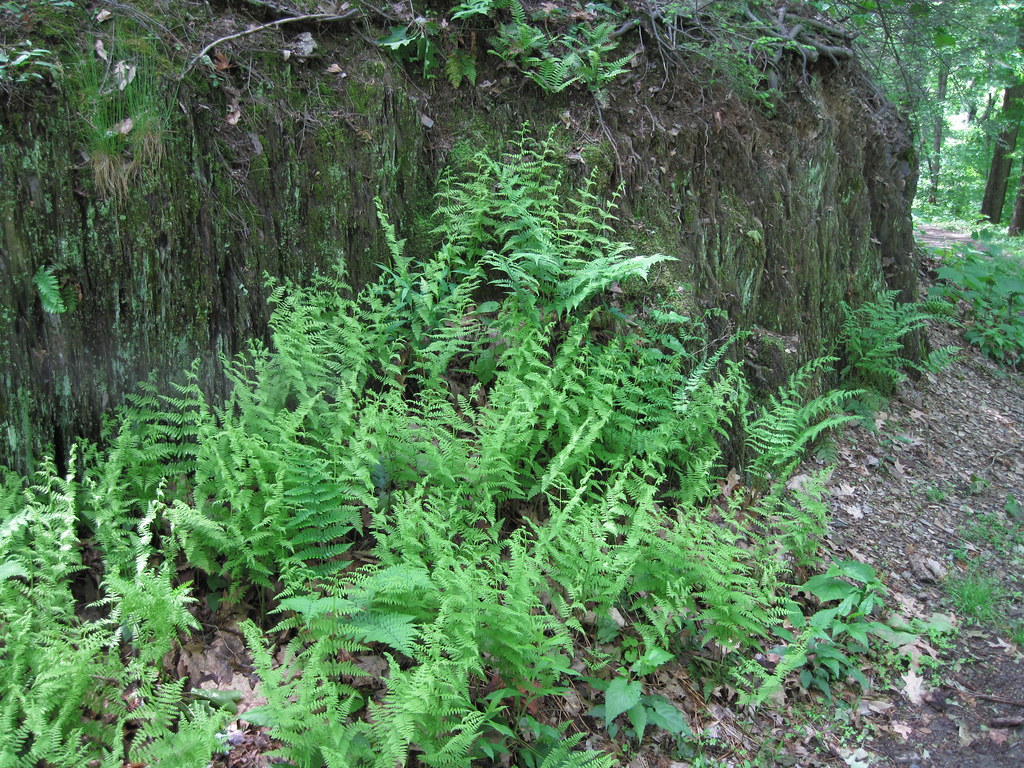 New Paltz 28 Bruce Faling Flickr