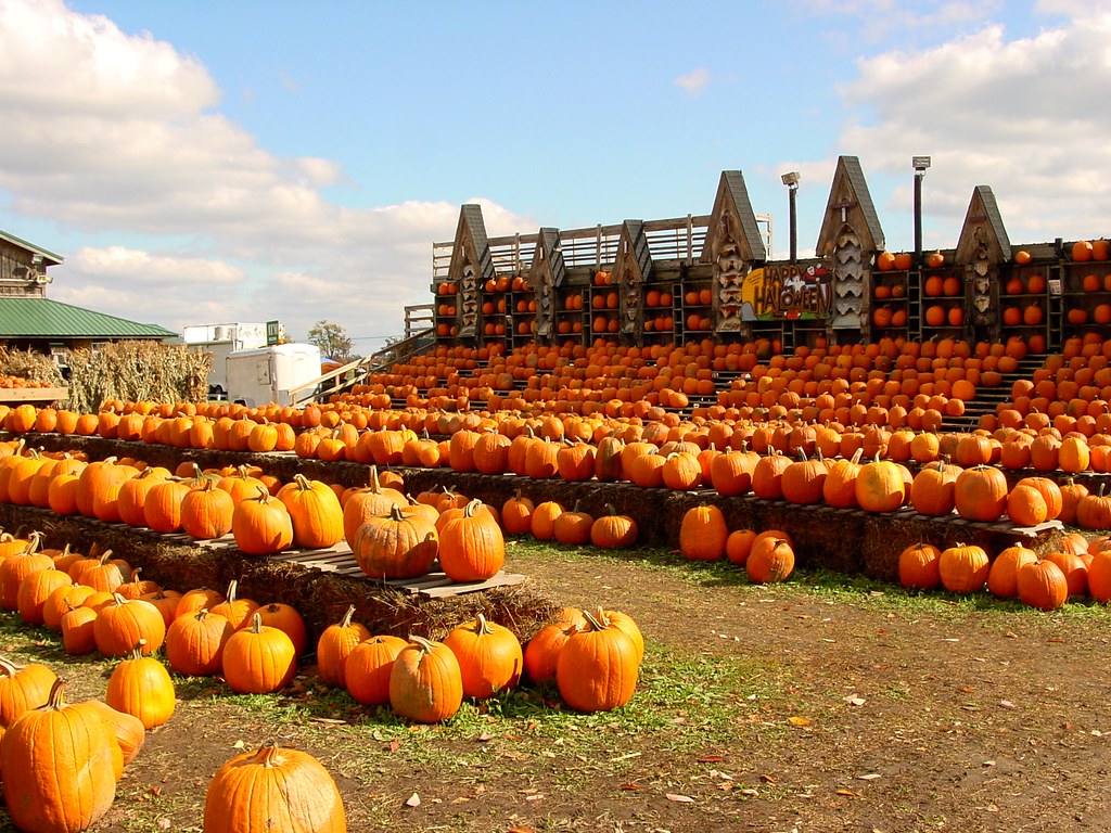 The Great Pumpkin Farm Clarence, NY pumpkin arena web si… Flickr