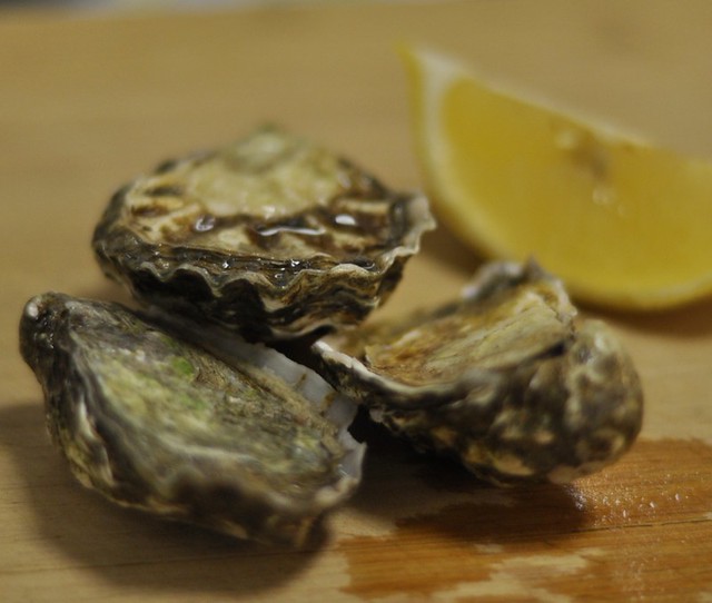 Kumamoto Oysters Kumamoto Oysters from Washington, at lac… Flickr
