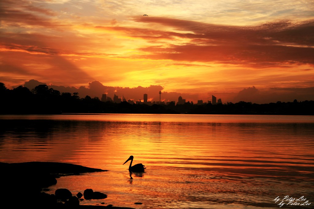 river sunrise a photo on Flickriver