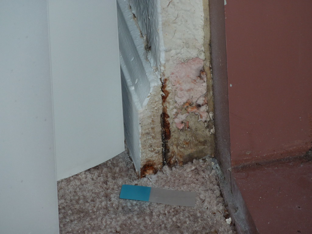 Apartment Mold 030 Mold on left side of living room window