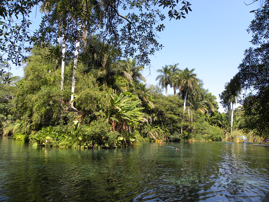 LAS ESTACAS, MORELOS, MÉXICO El Parque Ecoturístico Del Es… Flickr