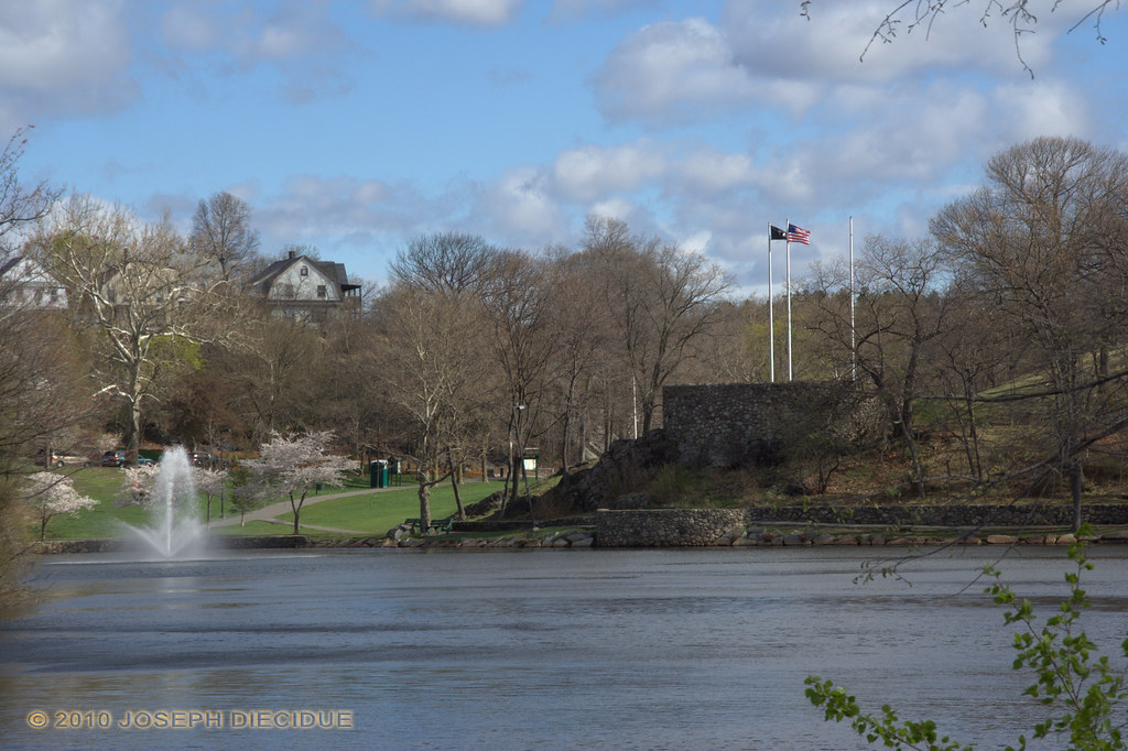 05 Fellsmere Pond 04102010 cem6357 Flickr