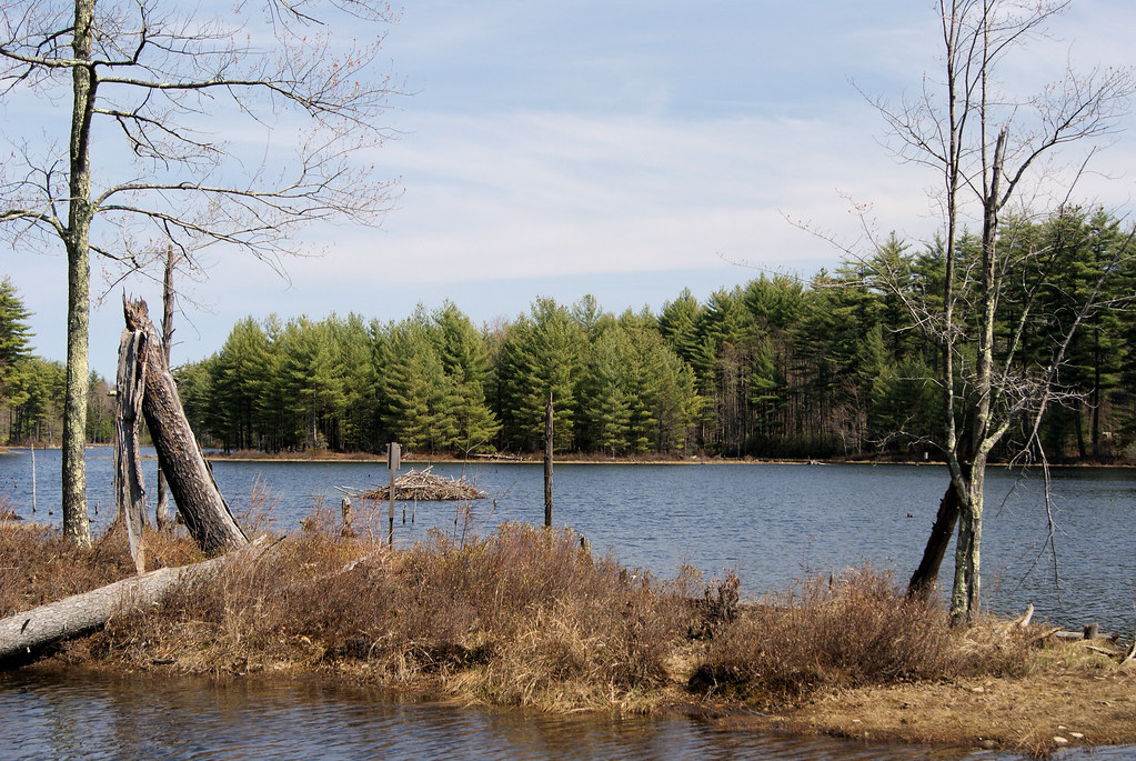 Spring at Beaver Brook The Wildlife Pond at the Beaver Bro… Flickr
