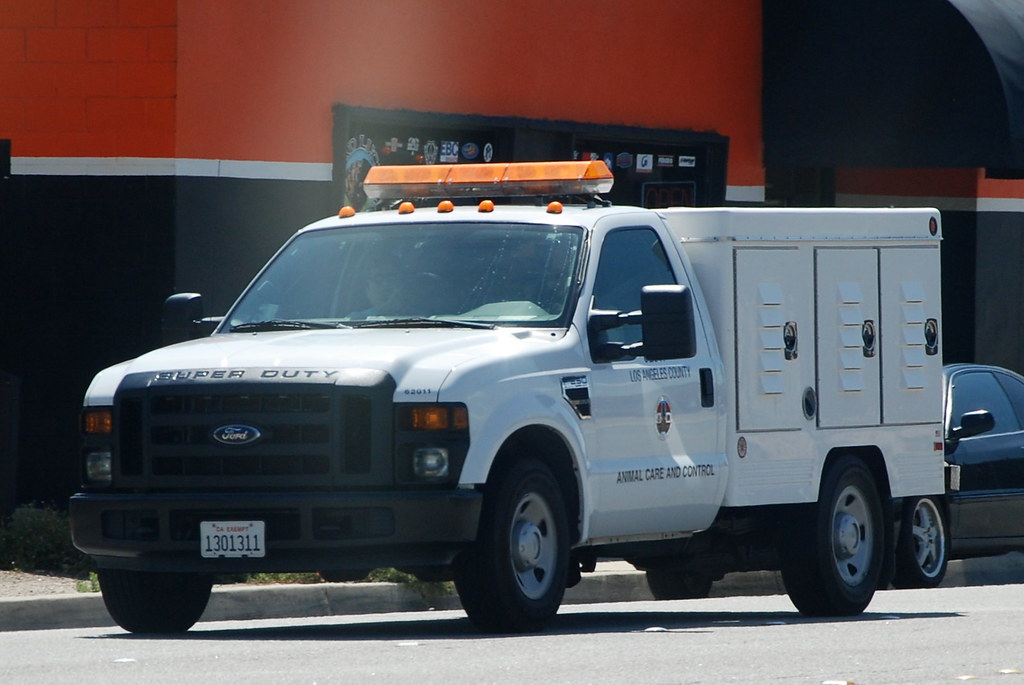 LOS ANGELES COUNTY ANIMAL CARE AND CONTROL a photo on Flickriver