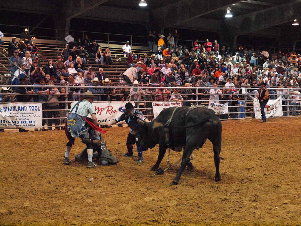 Hitchcock Texas Galveston County Fair Rodeo Fairgrounds NP… Flickr
