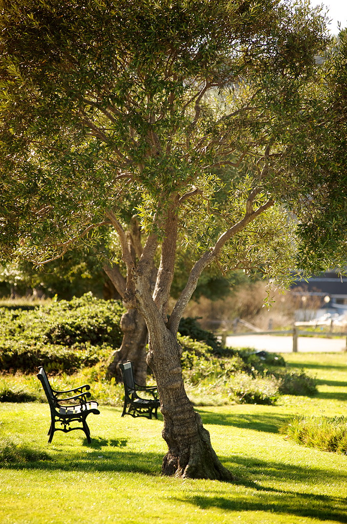Larkspur Hotel Mill Valley Bench Located at the edge of … Flickr