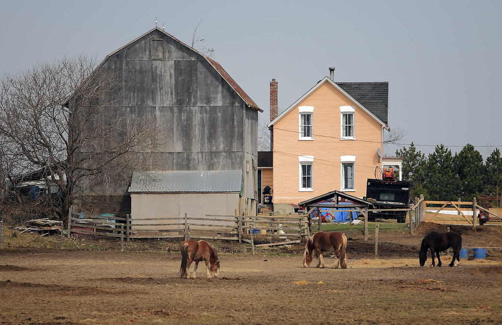 Farm House, Barn And Horses Stouffville, Canada April 2,… Flickr