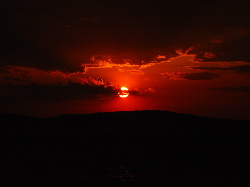 Elevation of Cove Ln, East Jordan, MI, USA Topographic Map Altitude Map