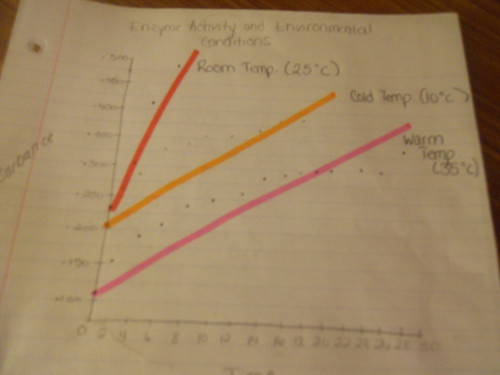 Enzyme Activity and Environmental Conditions By Tori Wint… Flickr
