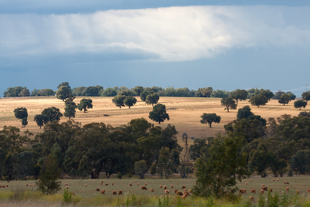 Dubbo, Sydney(no pictures) to (half way)Canberra Dubbo, Sy… Flickr