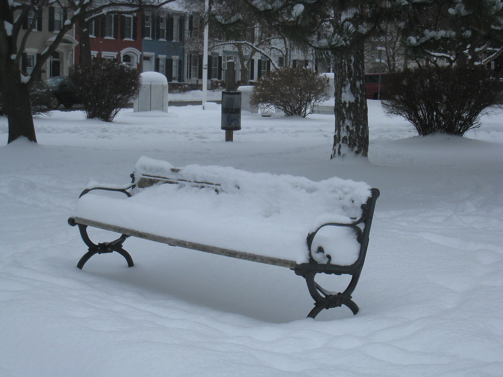 Pulteney Park, bench, Winter Michael Tinkler Flickr