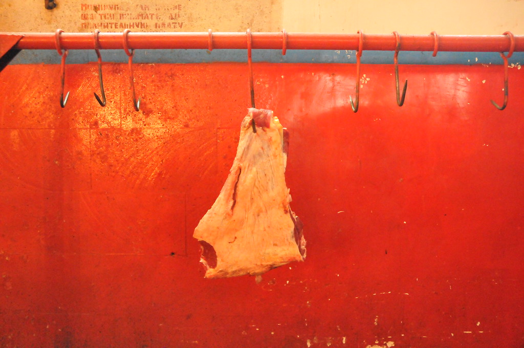Horse Meat The remnants of a sellers horse meat. Sons of Hedin