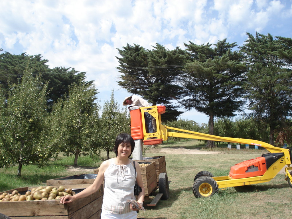 melbourne pear farm on way to healsville palee8829 Flickr