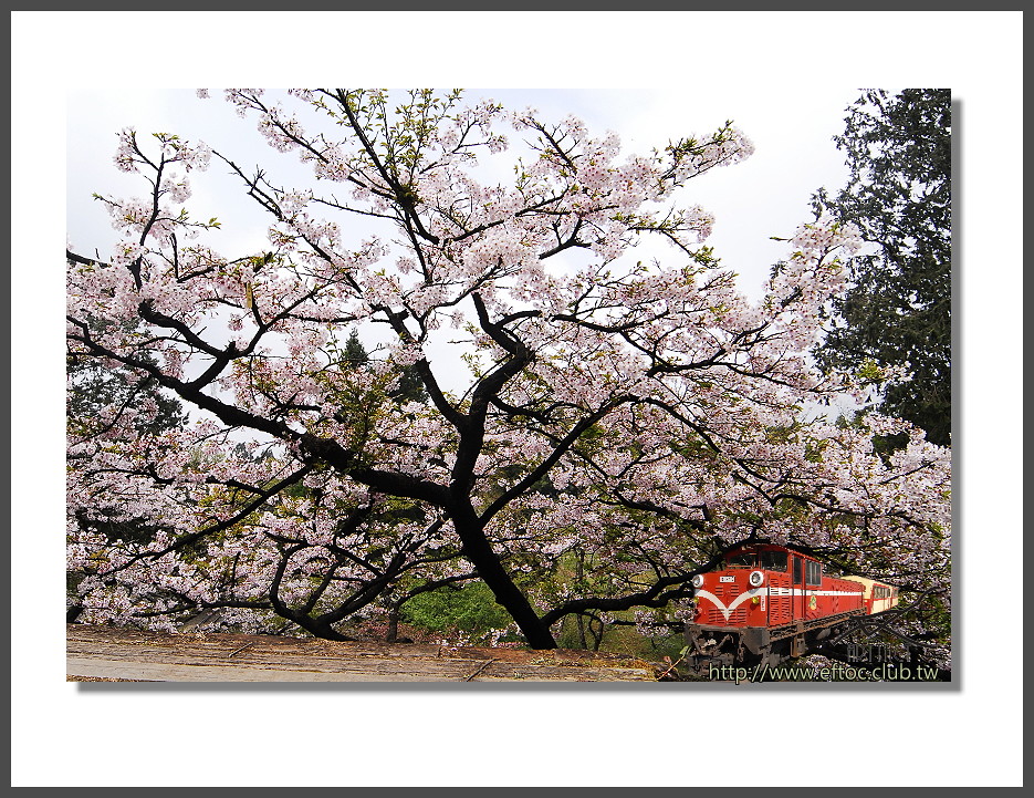 DSC_009 anson wu Flickr