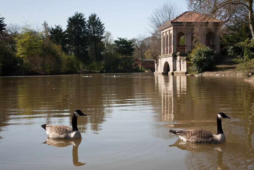 365107 Birkenhead Park Birkenhead Park, the first publi… Flickr