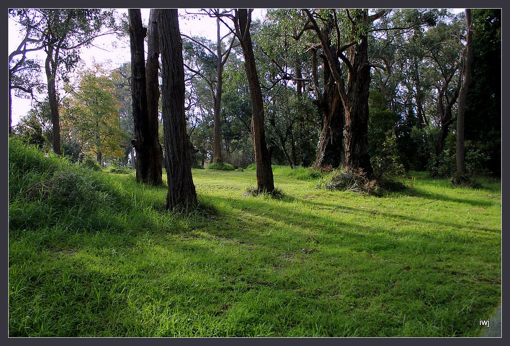 Bunyip, Victoria, Australia Woodland between 'Hillview' Bu… Flickr