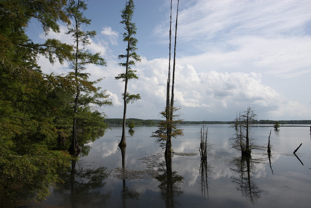 Lake D'Arbonne State Park, Farmerville, LA Phototgraphy of… Flickr