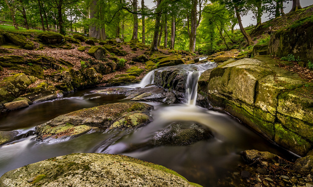 Cloughlea, Manor Kilbride, Co Wicklow, Ireland Spring time… Swavek
