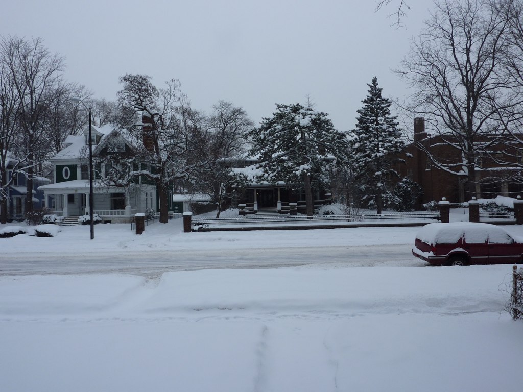 Snowy Colfax Andrei Măceș Flickr