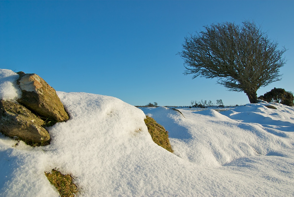 Snow In Pembrokeshire Taken near Pentre Ifan in north Pemb… Flickr
