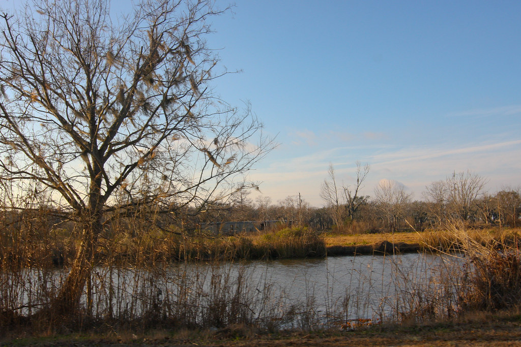 Dularge Louisiana Weather at Sarah Guerra blog