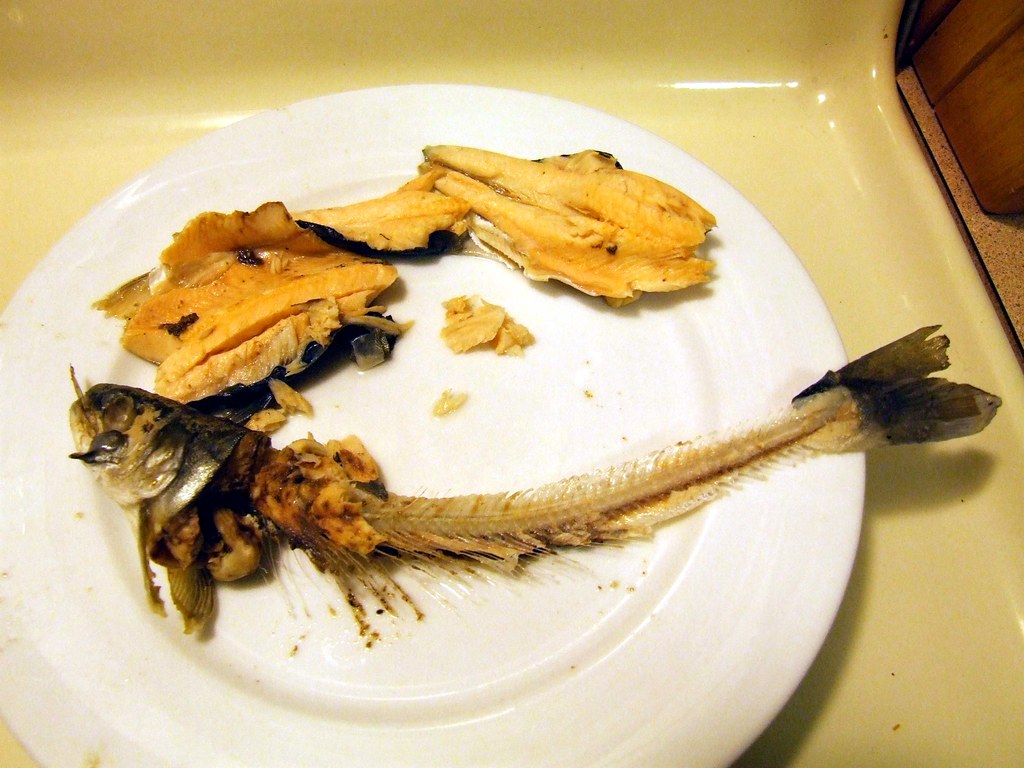 Fish Bones This was the end product of the boiling of the … Flickr