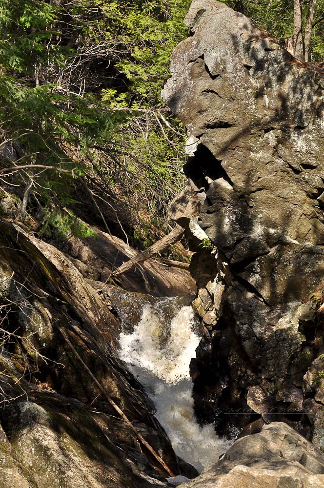 20100411 Rivière du nord Petite rivière qui approvisionn… Flickr