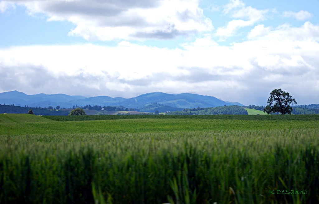 Washington County Farmland Oregon Karen DeSanno Flickr