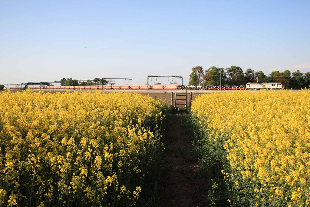 IMG_8010 Comberford, Tamworth. 6L48 Garston Dagenham. Philip