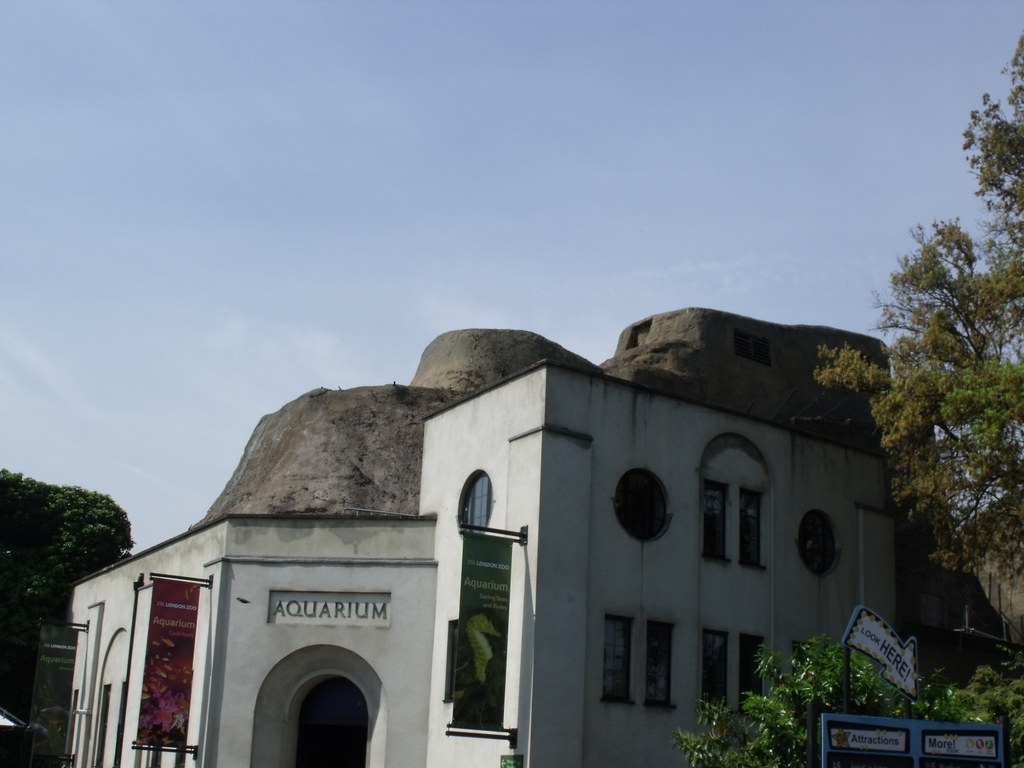London Zoo Aquarium This is the Aquarium at London Zoo. … Flickr