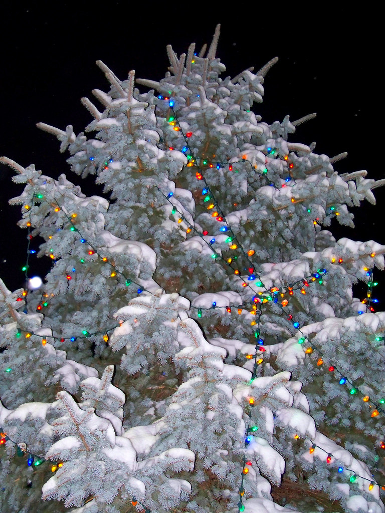Ft Wayne Christmas Tree Joseph Flickr