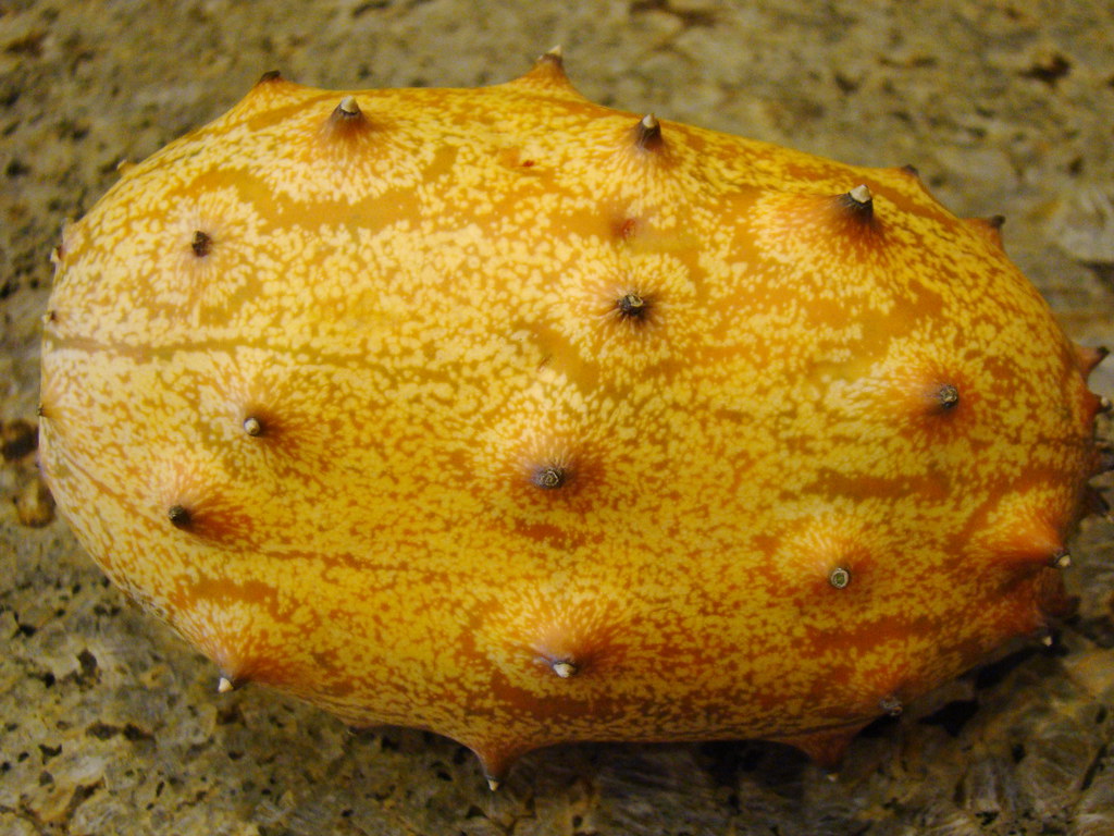 Kiwano Melon The horned melon also called African horned c… Flickr