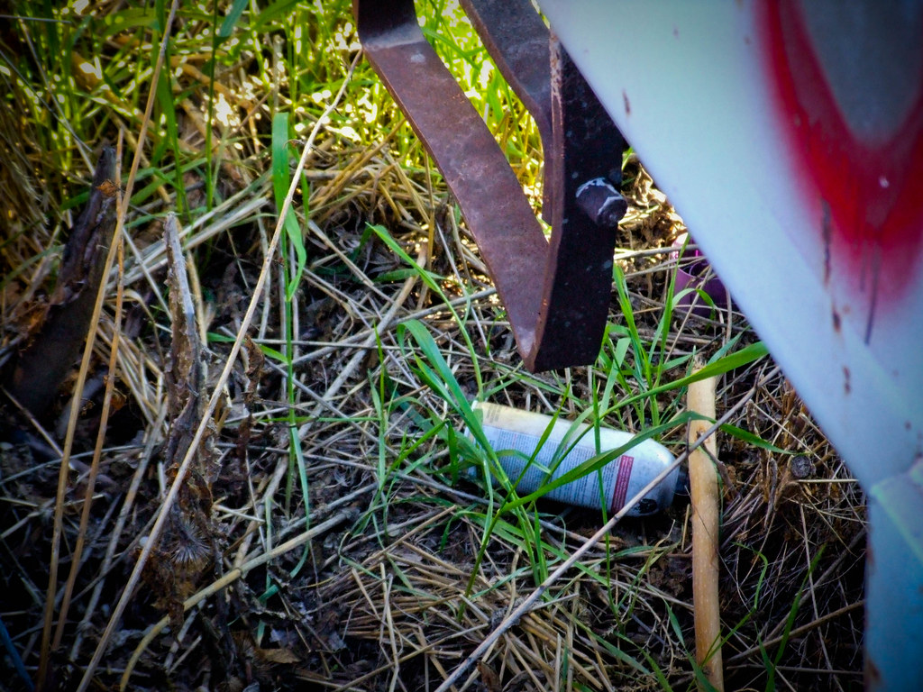 DSCF1488 rattlesnake jones Flickr