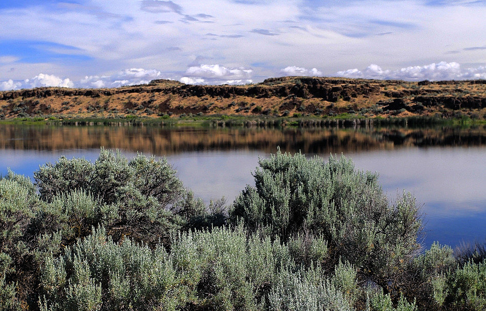 Quincy Lake Goyo Myers Flickr