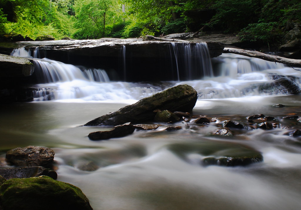 Buckleup Arbuckle Creek, New River West Virginia T… Flickr