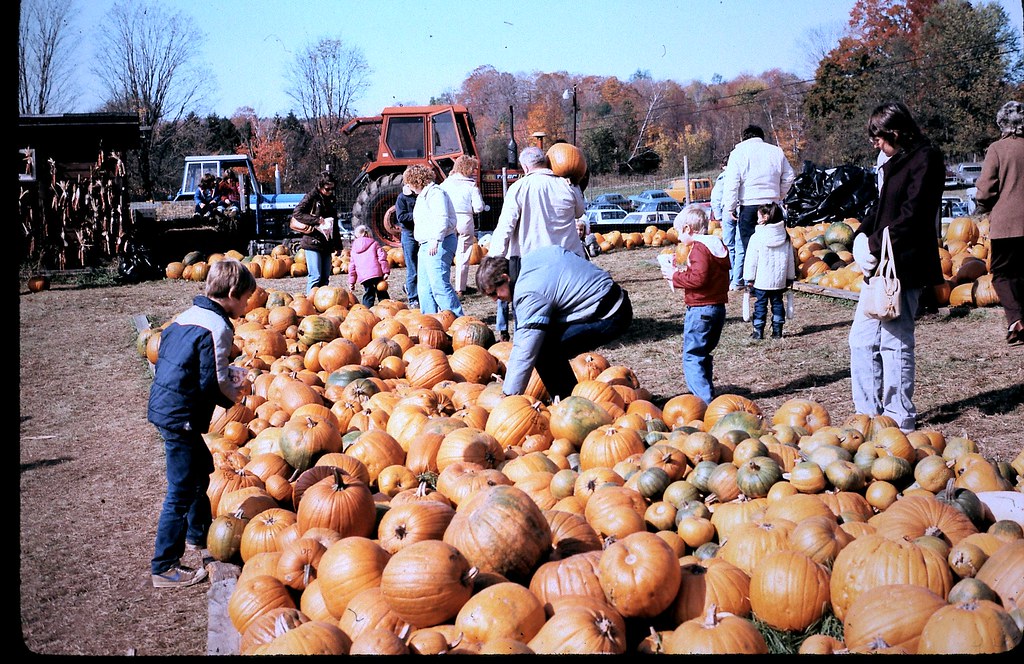 NY Pumpkin farm Everyone likes to go to a pumpkin farm to … Flickr